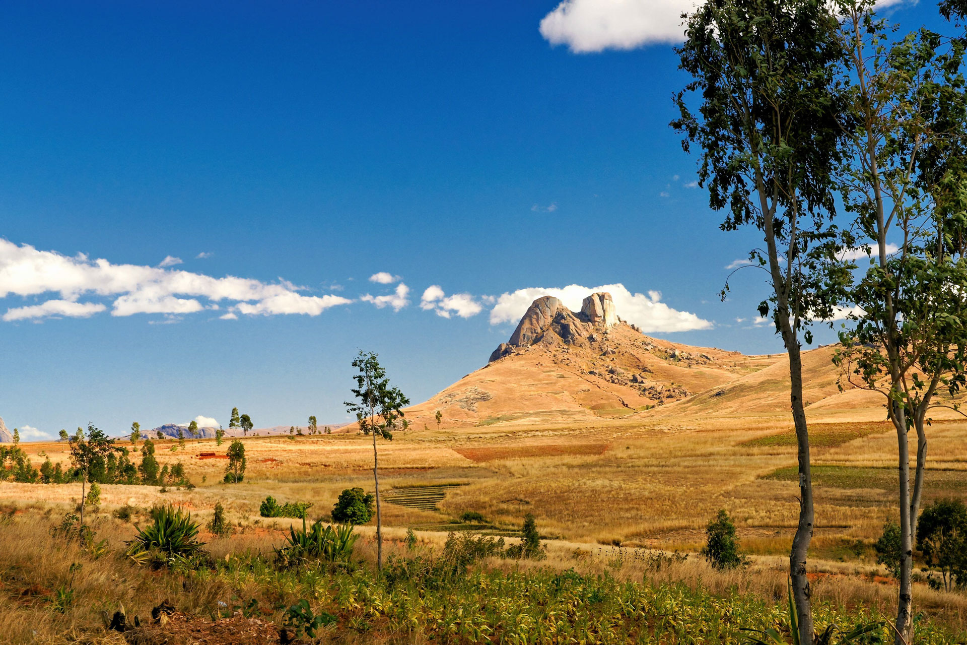 Landschaft im Anja Community Reserve